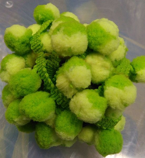 Pompom braid, width 1.2 cm, 18.2 m per roll.