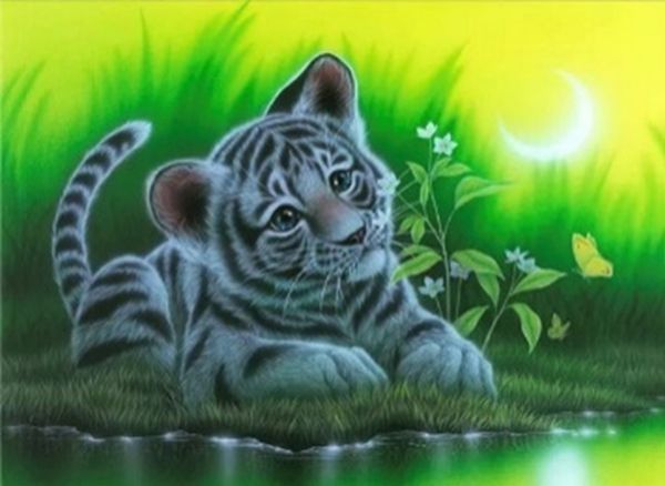 Набір для творчості зі стразами на картоні   5D "Замріяне тигреня" 21*25см