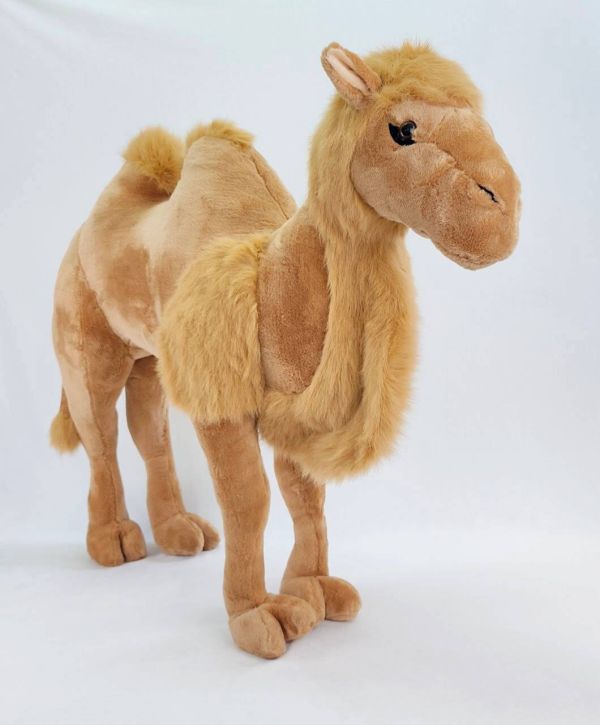 Camel 96 cm