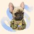 Fighting dog. 21*25 cm. Set for creativity with rhinestones on a stretcher, Artist Tkachenko