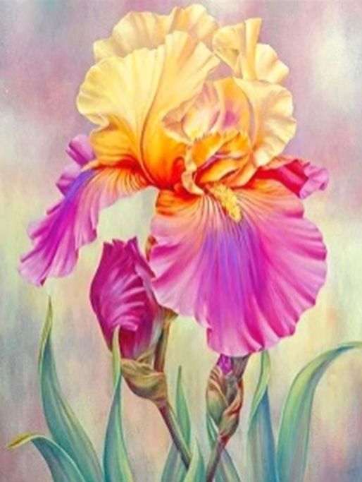 Bright iris 20*30 cm. Set for creativity with rhinestones on a stretcher