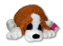 St. Bernard 60cm