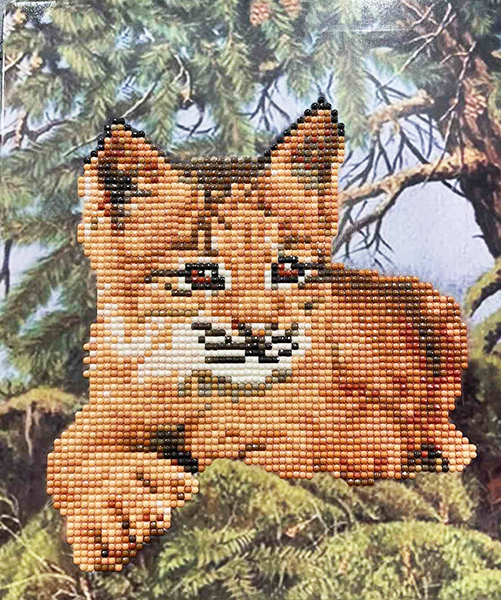 Set for creativity with rhinestones on cardboard 5D Lynx Kid 21 * 25cm