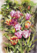 Tulips -2, 40*50cm. Set with rhinestones (canvas+holder)