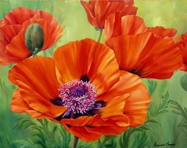 Poppies 21 * 25cm. Set for creativity with rhinestones on cardboard