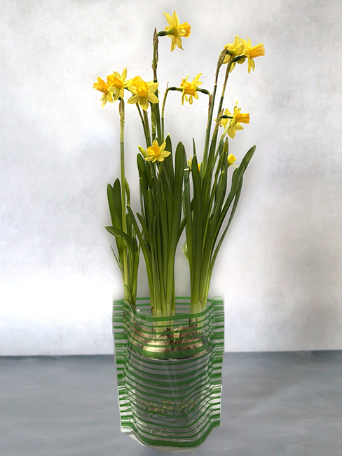 Vase 22х18 plastic. (194488-4)