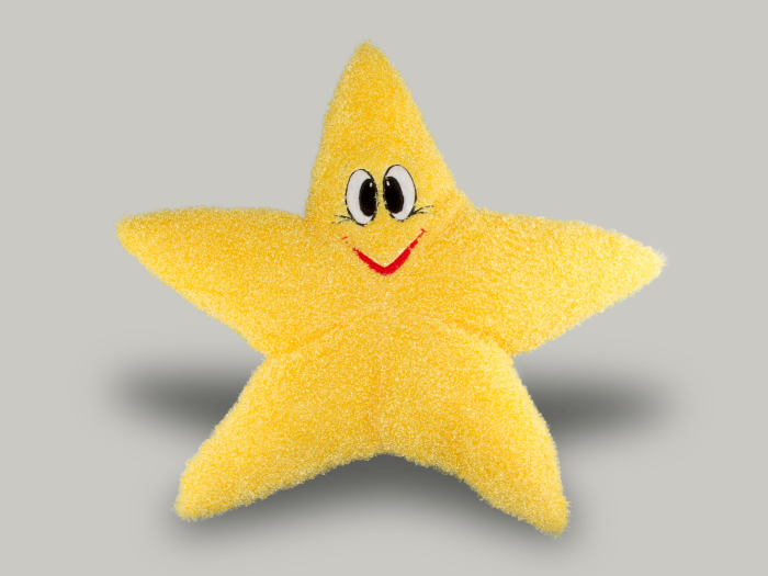 Pillow Decorative Starfish