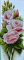 Embroidery kit Roses 45*110