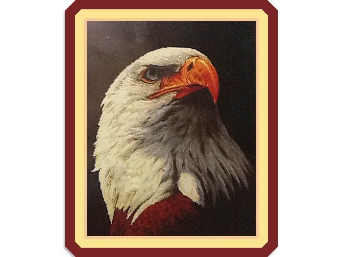 Cross Stitch Kits 5D, 58 * 73 cm. Eagle