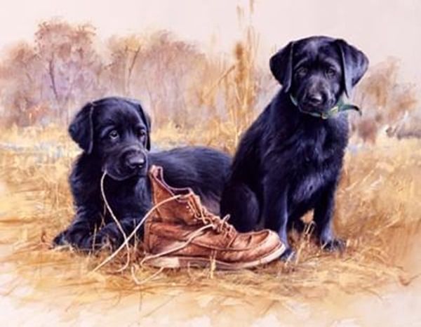 Set with rhinestones on a stretcher, New dress, 50 * 40, with print. frame