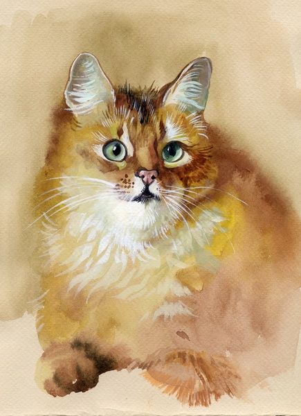 Red cat Art. Starovoitova, 21*25 cm. Set for creativity with rhinestones on 5D cardboard