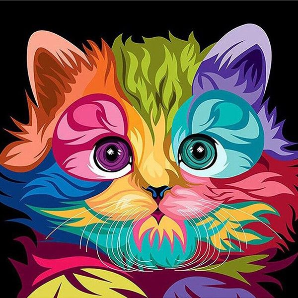 Colorful cat 20*30 cm. Set for creativity with rhinestones on a stretcher