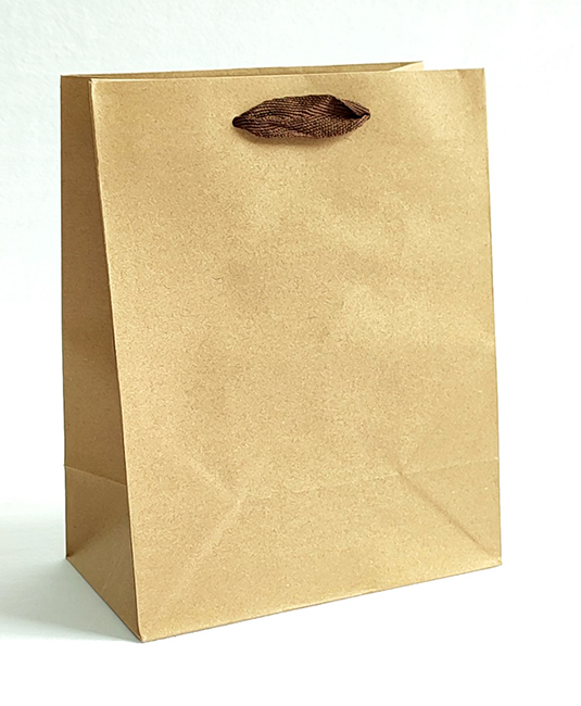 Package 19*24*8 Kraft plain