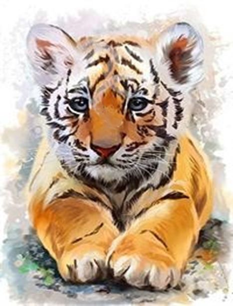 Tiger 20*30 cm. Set for creativity with rhinestones on the frame