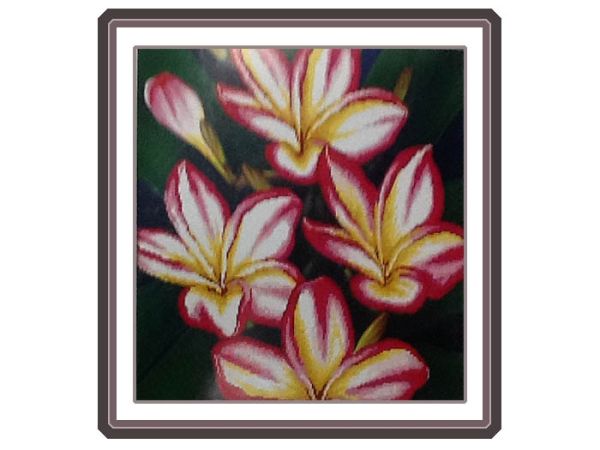 Kit embroidery cross Pink Magnolia