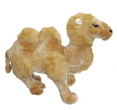 Camel 96 cm