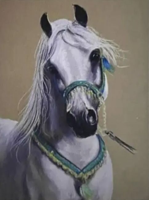 White horse. 20*30 cm. Set for creativity with rhinestones on a stretcher