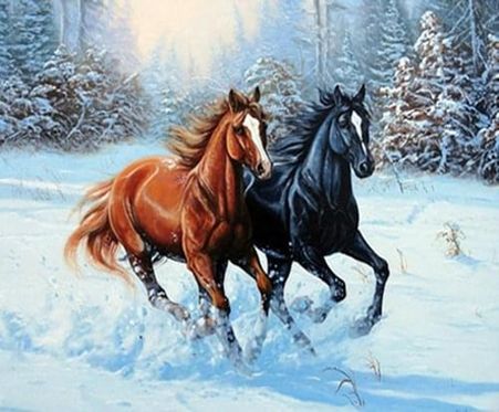 Set for creativity with rhinestones on cardboard 5D Crazy run 21 * 25 cm