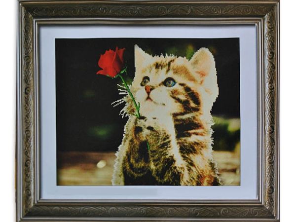 Kit embroidery cross 5D Kitten with rose