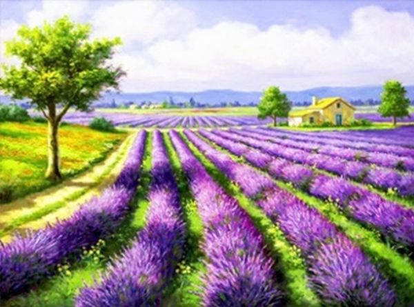 Lavender field 30 * 40 cm. A set for creativity with rhinestones on a stretcher