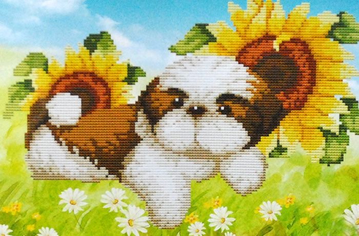 Set d/5D embroidery Dog in sunflowers 40*31