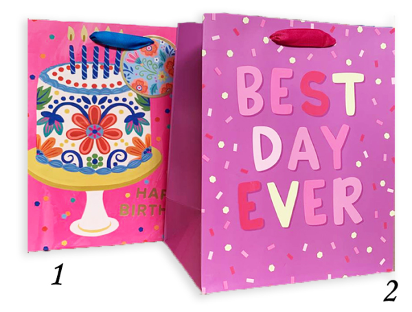 Пакет 18*22*10см паперовий "Best day" 12шт  в пак