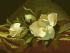 Magnolias on gold velvet. Hud. Martin Johnson Heade, 30*40 cm. Set for creativity picture by numbers