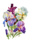 Irises, 40*50cm. Set with rhinestones (canvas+holder)