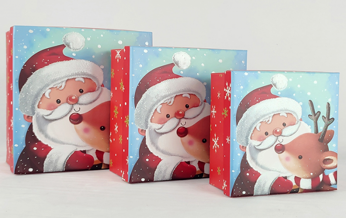 Set of gift boxes Holiday duet, 3 pcs. per pack