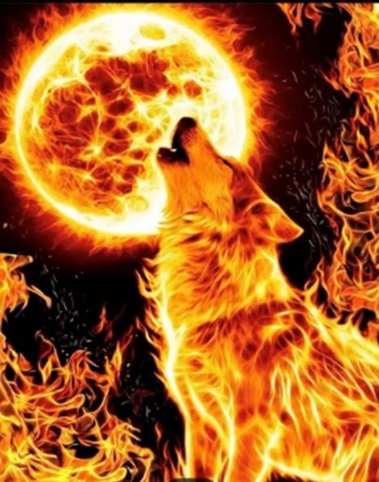 Fire wolf 40 * 50 cm. A set for creativity with rhinestones on a stretcher