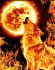 Fire wolf 40 * 50 cm. A set for creativity with rhinestones on a stretcher