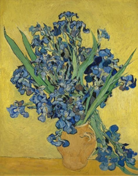 Набір для творчості зі стразами на підрамнику "Іриси" Худ. Vincent van Gogh" 30*40 см(У)