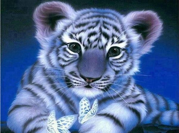 A set for creativity with rhinestones on a stretcher Tiger cub 20 * 30 cm