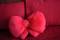 Pillow decorative Bant - 1
