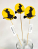 Decorative item Topper Witch, 7*30 cm