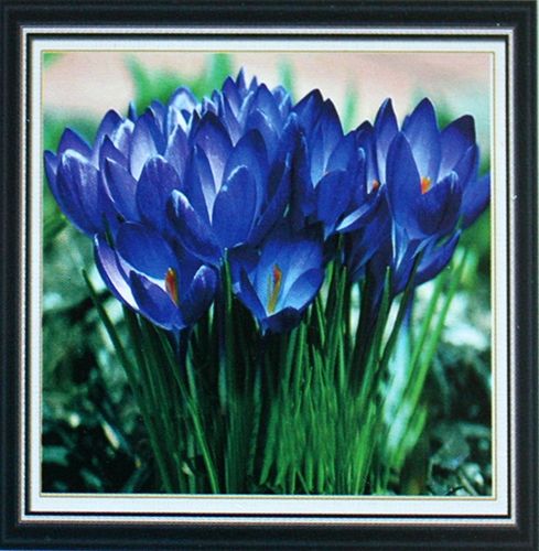 Set for creativity with crystals First flowers 25 * 25