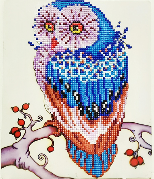 Set for creativity with rhinestones on cardboard 5D Magic Owl 21 * 25 cm