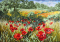 Set for embroidery, 72 * 53 cm. Poppy field