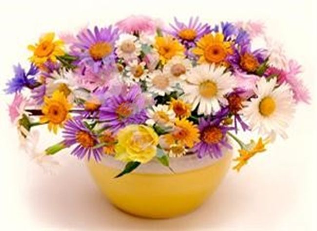 Sunny mood 20*30 cm. Set for creativity with rhinestones on a stretcher