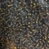 Beads 12 FG brown, shiny 54