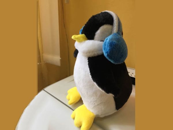Penguin for the company Full motion