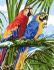 Parrots 20 * 30 cm. Set for creativity with rhinestones on a stretcher.