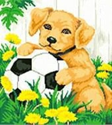 Set for creativity with rhinestones on cardboard 5D Football player 21 * 25 cm