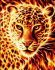 Fire leopard. 40*50 cm. Set for creativity with rhinestones on canvas 40*50 cm. Set for creativity with rhinestones on canvas
