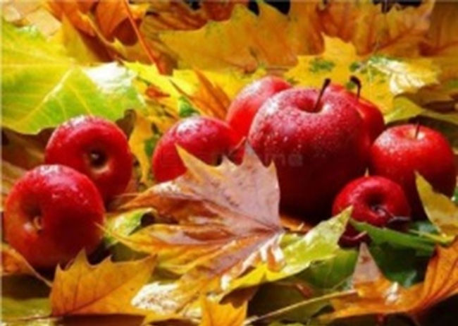Autumn gifts. Set with rhinestones on a stretcher, 30*40 cm