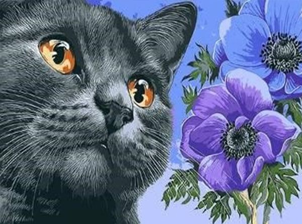 A set for creativity with rhinestones on a stretcher Favorite cat 20 * 30 cm