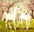 Set for creativity with rhinestones on a stretcher, 30 * 30 cm. Magic horses