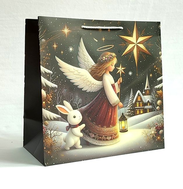 Paper package 20*20*10cm Christmas story, 12pcs per pack