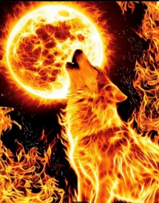 Fire wolf, 40*50cm. Set with rhinestones (canvas+holder)