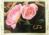 Embroidery kit 58 * 46 cm